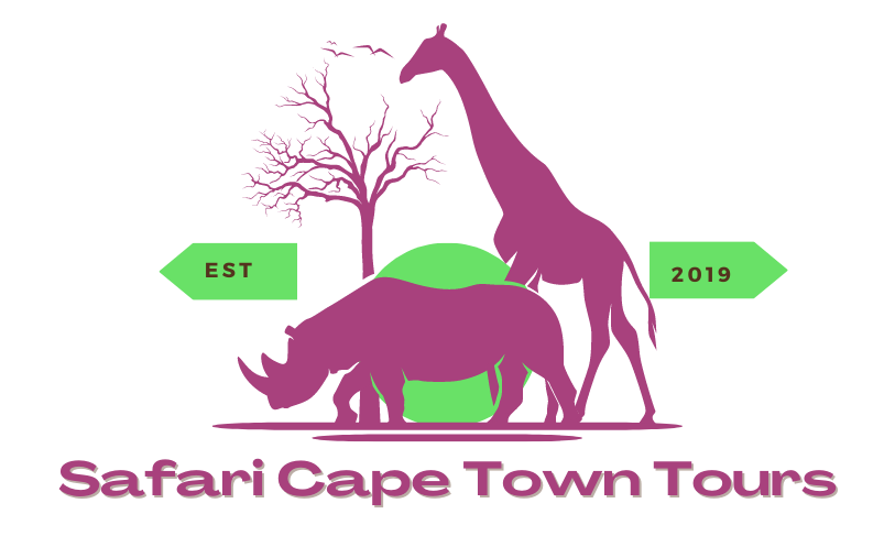 safari cape town accommodation